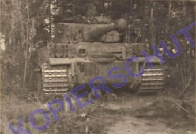 Тигр им Фокус - Ergдnzung цур Gallerie 502 Mai43 (1).png